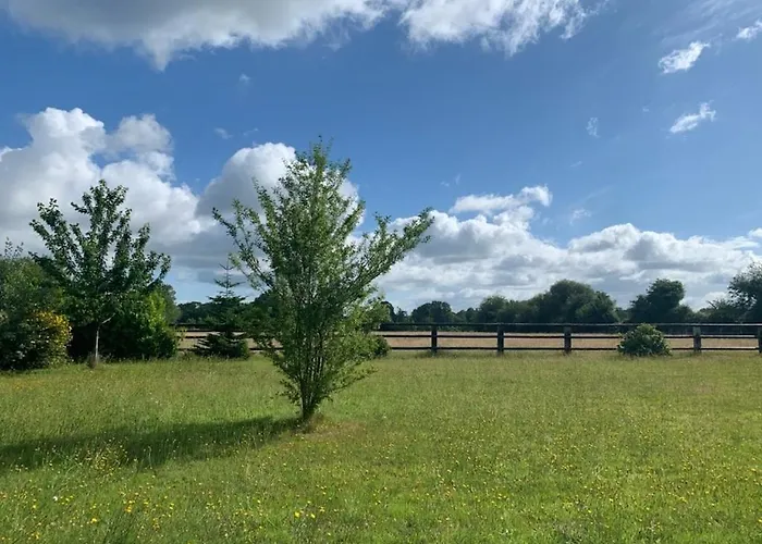 Maison Normande 15 Min De Deauville, 10 Min